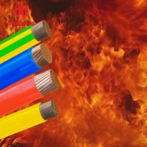 CXV/DATA/FRT – 0,6/1KV & CXV/DSTA/FRT – 0,6/1KV