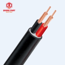 CVV-2x4 - 300/500V ( Cadivi)