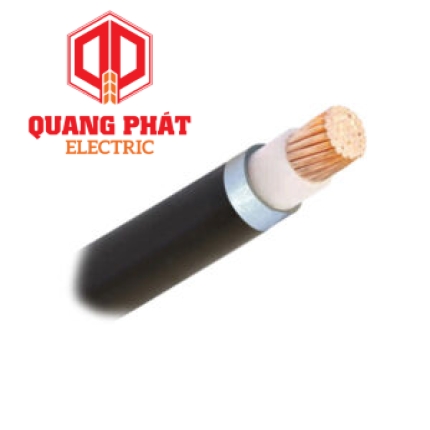 Dây điện 1 lõi Cadisun CXV-1x16mm2–0.6/1KV (Đen)